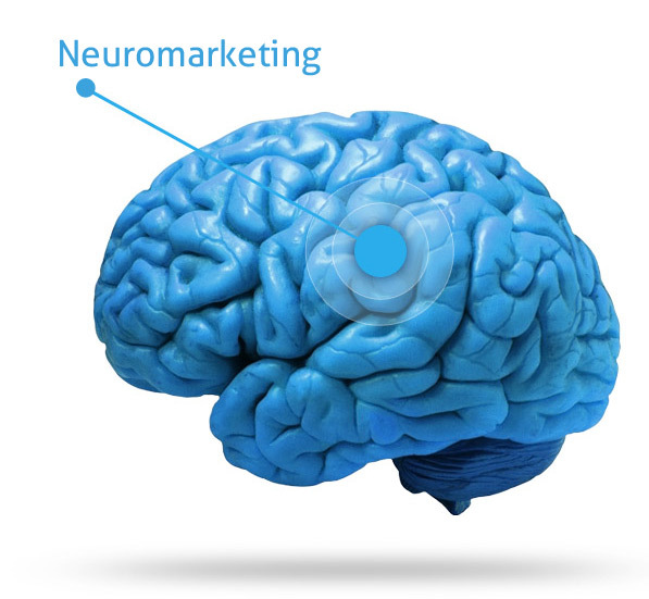 neuromarketing in tekst